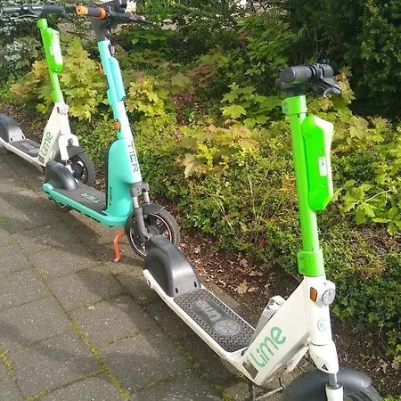 Rob's Place منزل للإقامة لانغنفلد