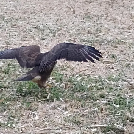 Rum i privatbostad Rob's Place *