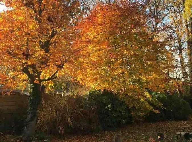 Rum i privatbostad Rob's Place