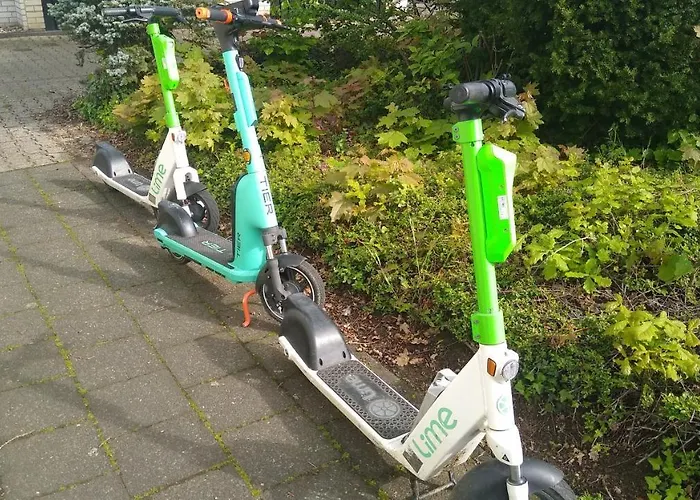 Rob's Place منزل للإقامة لانغنفلد