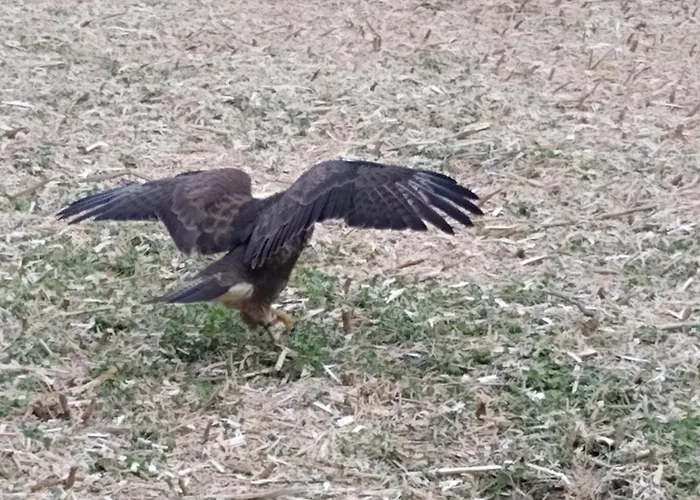 Rum i privatbostad Rob's Place *